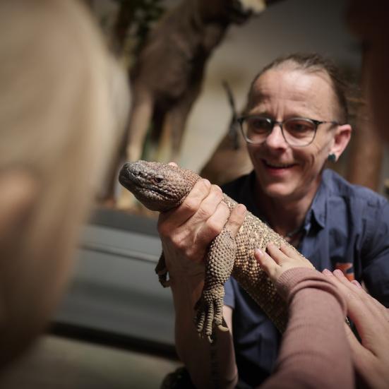 Billede fra Naturama