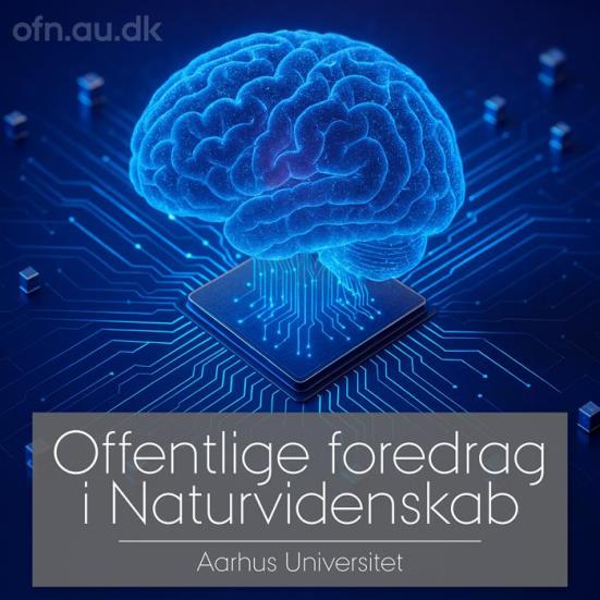 Hjerne