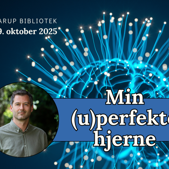 Min uperfekte hjerne