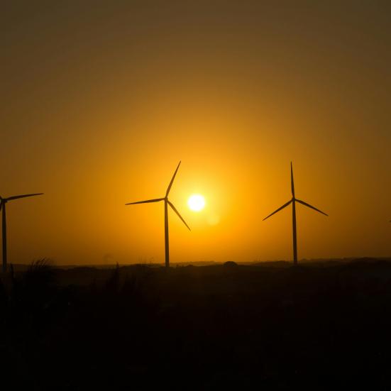 Vindmøller i solnedgang