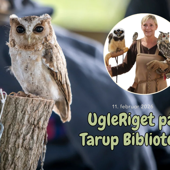 UgleRiget på Tarup Bibliotek