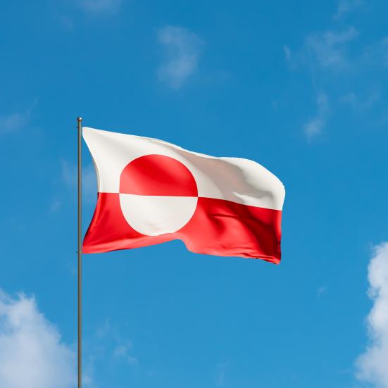 Det grønlandske flag
