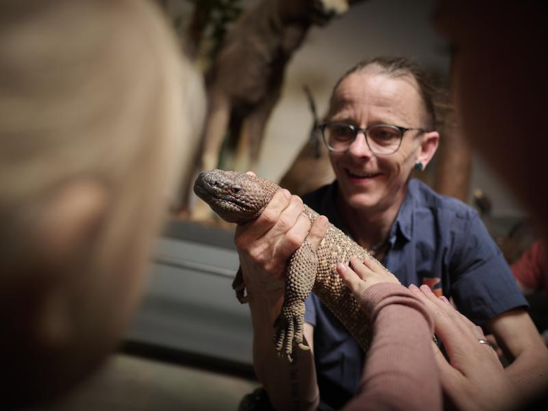Billede fra Naturama