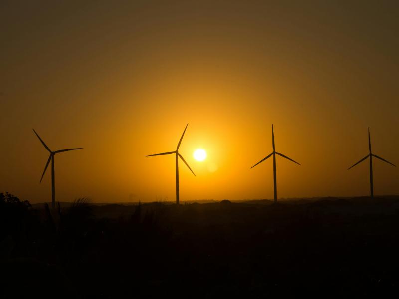 Vindmøller i solnedgang