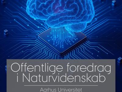Hjerne