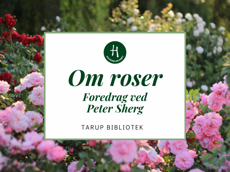 Haveselskabet: Foredrag om roser