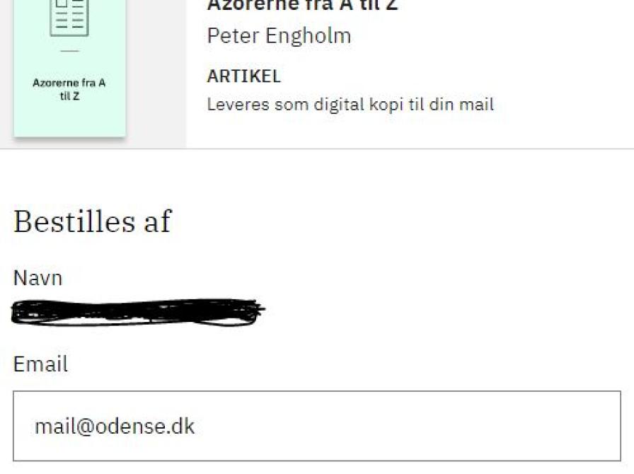 skærmklip af artikel fra Digital Artikelservice